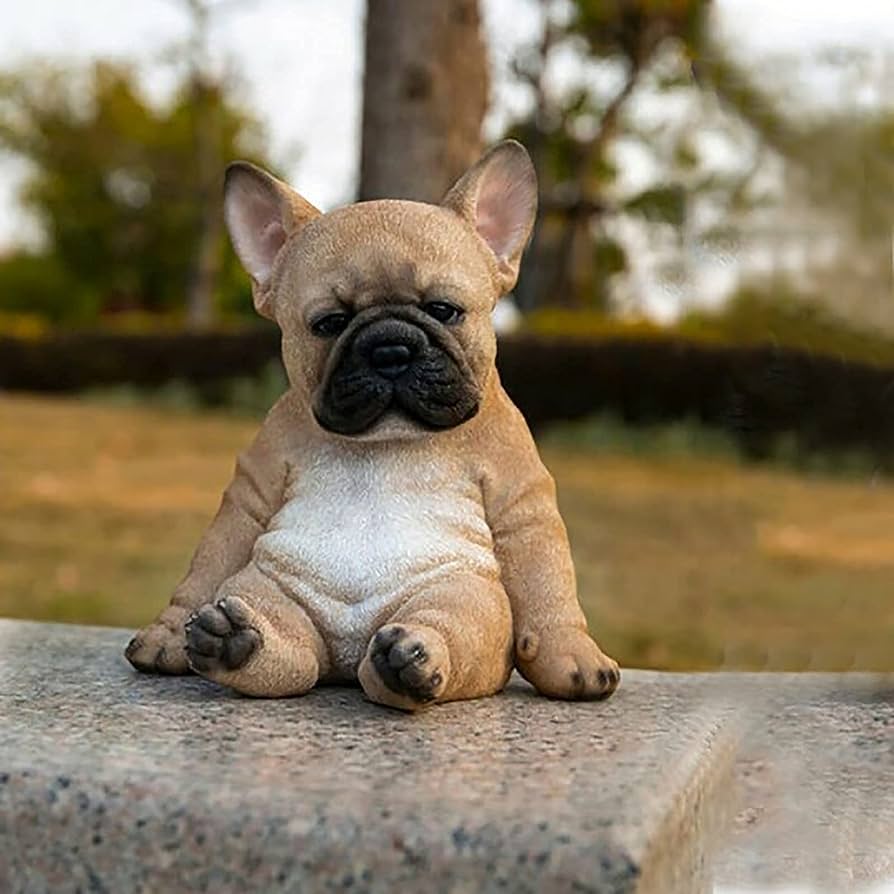 Image of FRENCH BULLDOG posted on 2022-03-13 14:06:50 from surat